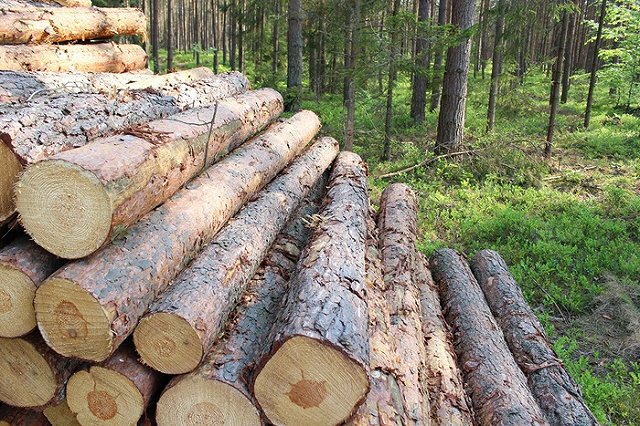 Екатеринбуржцы «зарубили» строительство индустриального парка «Новосвердловский»