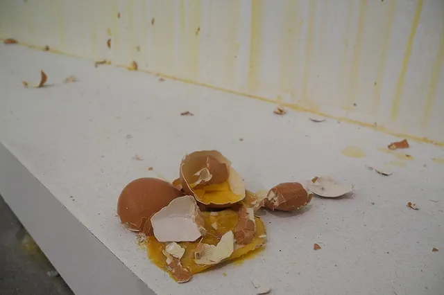 Производитель: появление упаковки из 9 яиц не связано с ростом цен