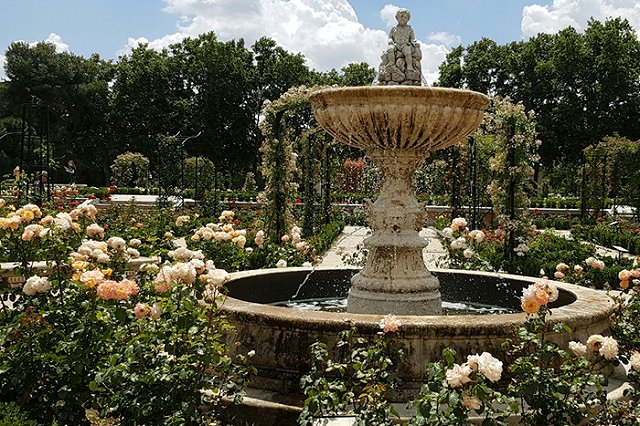 В мэрии рассказали, как благоустроят Дендропарк на Первомайской