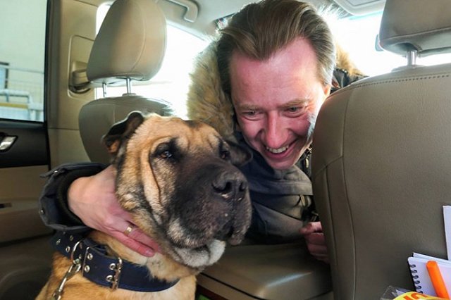 Брошенному у ветклиники псу нашли новый дом