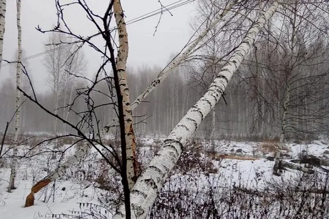 Жители поселка под Екатеринбургом остались без света и воды