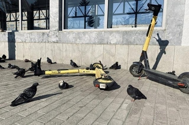 В Екатеринбурге племянник набрал на дядю кредитов, чтобы покататься на электросамокате