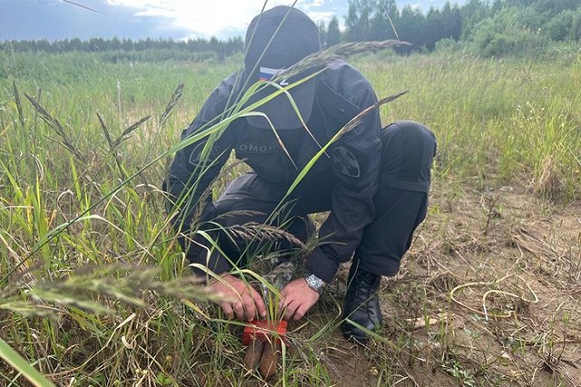 Свердловчанин нашёл у себя в саду столетние боевые гранаты