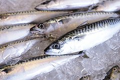 С 1 января 2014 года запрещен ввоз норвежской рыбы в Россию