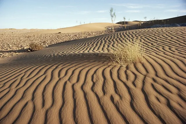 Мир через 15 лет: войны за воду и еду, ядерные атаки, бунт роботов