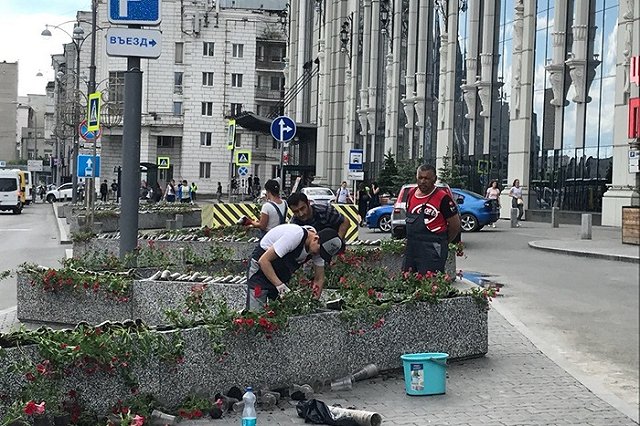 В «бетонные гробики» возле «Гринвича» посадили полумертвые цветы