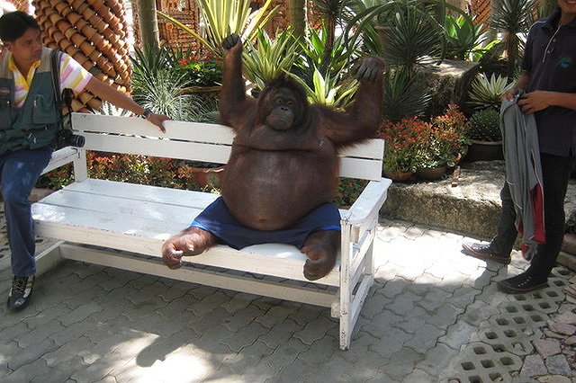 На туристов в Таиланде наденут идентификационные браслеты