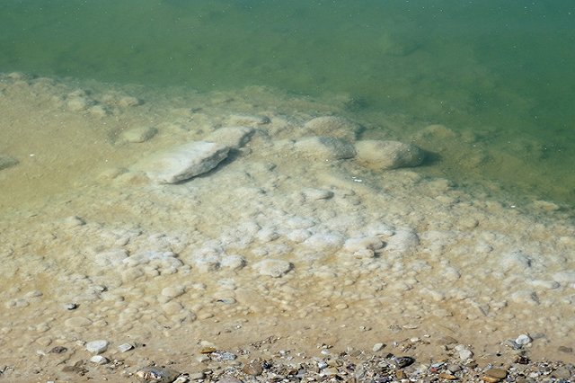 Российский турист смог утонуть на Мёртвом море