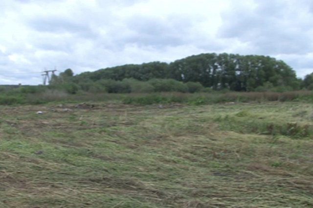 В Екатеринбурге сотрудники полиции ликвидировали поле дикорастущей конопли