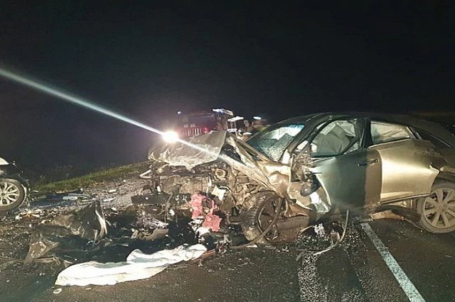 На тюменской трассе в ДТП из-за кабана погибли 4 человека, в том числе и ребенок