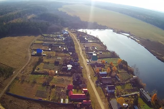 «Хлеб не ест совсем». В Сысертском районе погибает «серая шейка»