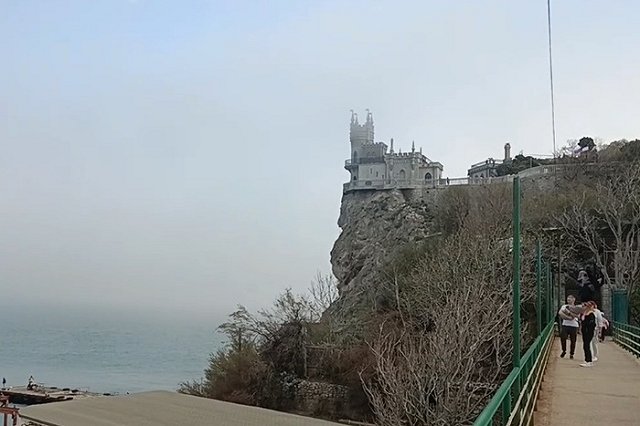 Что известно о петербуржце, который сбросил кошку с обрыва в Ялте