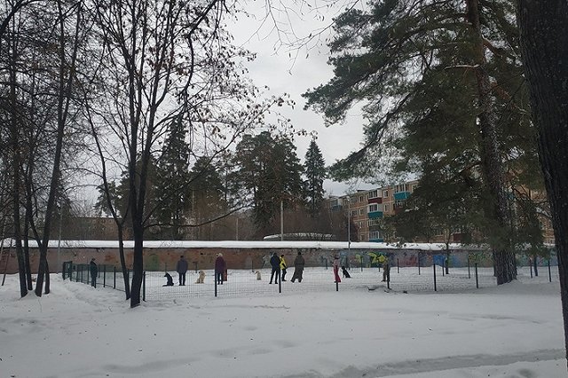 Свердловчанка из-за недостатка времени решила усыпить щенка, которого подобрала с улицы