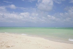 США проводили испытания биологического оружия на Окинаве