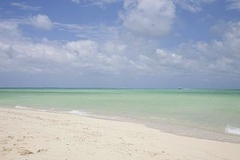 США проводили испытания биологического оружия на Окинаве