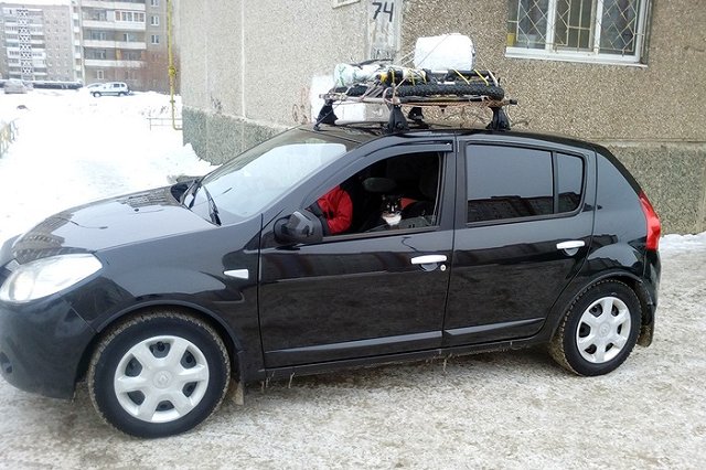 Кот Граф из Нижнего Тагила вместе со своим хозяином отправился к Байкалу