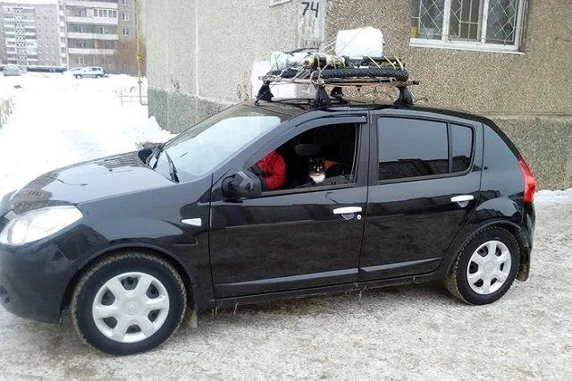 Кот Граф из Нижнего Тагила вместе со своим хозяином отправился к Байкалу