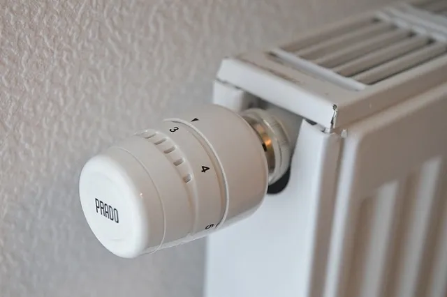 Конституционный суд разрешил жителям платить за отопление по счетчикам