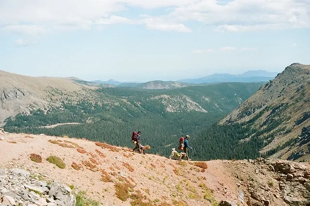 Власти РФ выразили обеспокоенность туристической активностью россиян в нерабочие дни