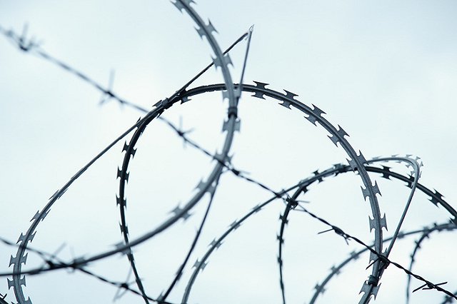 Мерзлякова предложила отменить приговор Чудновец и реабилитировать ее