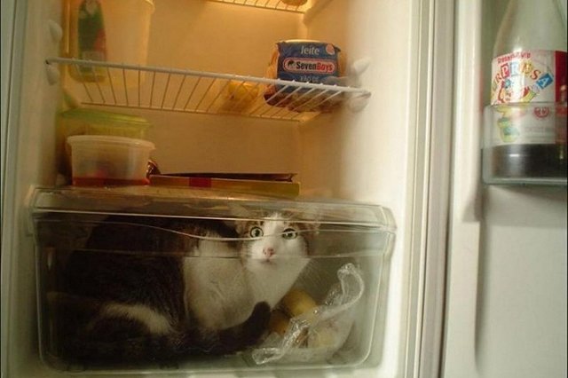 Путин предложил подумать об утильсборе для крупной бытовой техники