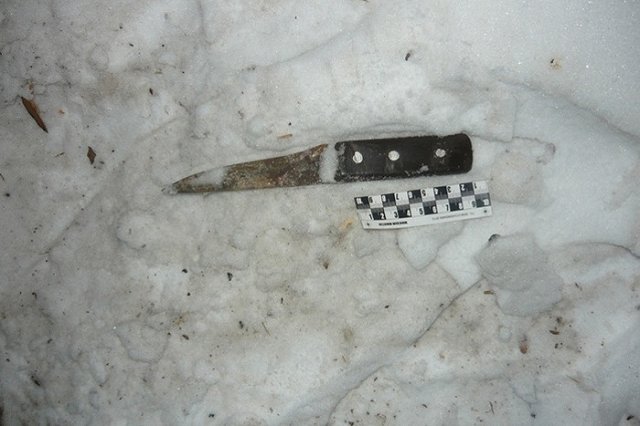 Суд вынес приговор жителям Среднего Урала, которые расправились со своей роднёй, убив 4 человека