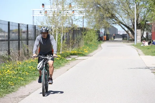 Велопутешественника из Германии ограбили в лесу в Курганской области