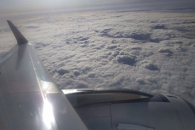 «Победа» открыла рейсы из Москвы в Москву