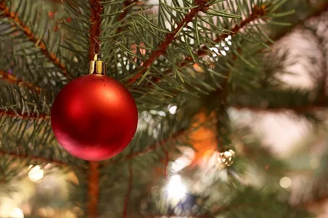 Куйвашев официально объявил последний день года выходным. Но для некоторых суббота станет рабочей