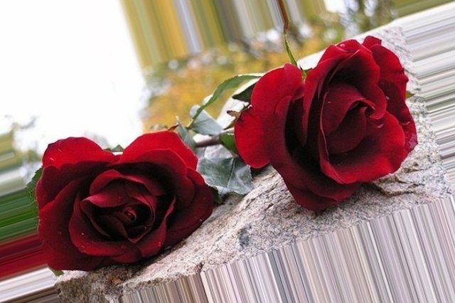 Автоправозащитник Георгий Бадьин скончался в Екатеринбурге