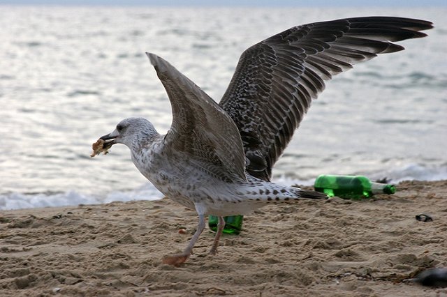 Эксперты о турсезоне-2016: Лето без Турции, майские без Парижа