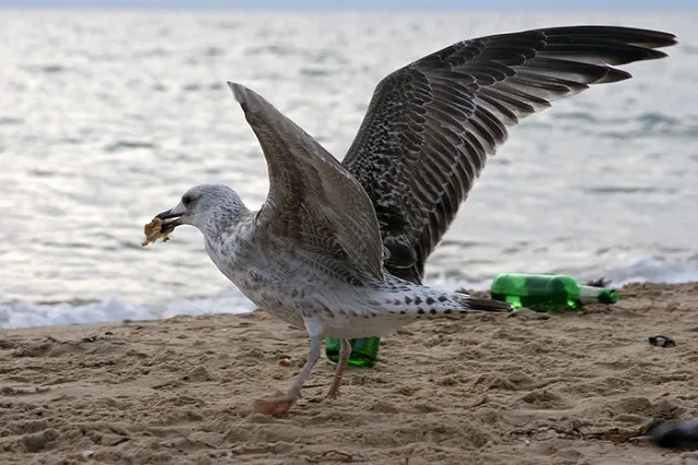 Эксперты о турсезоне-2016: Лето без Турции, майские без Парижа
