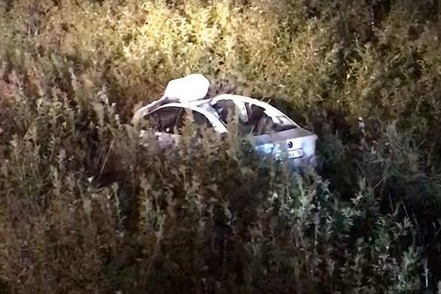 Под Первоуральском водитель насмерть сбил лося и погиб сам