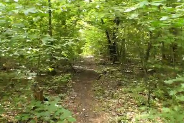 В лесополосе на Елизавете нашли тело мужчины