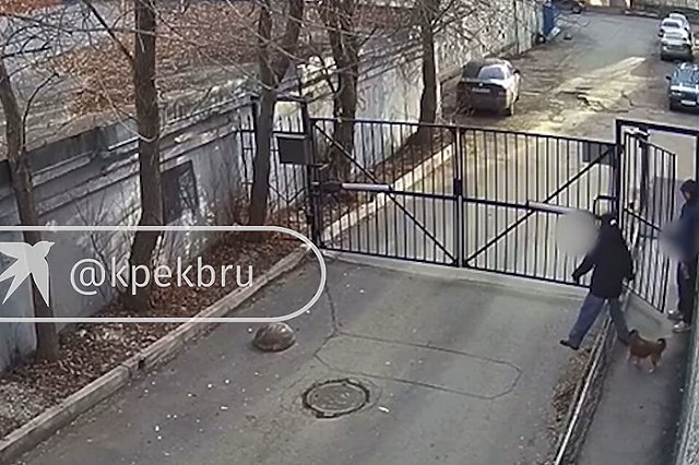 В Екатеринбурге поймали извращенца, расстегнувшего ширинку при виде 19-летней девушки во дворе