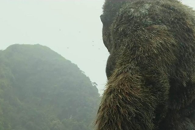 В Адыгее нашли сундук Третьего рейха с черепами неизвестных существ