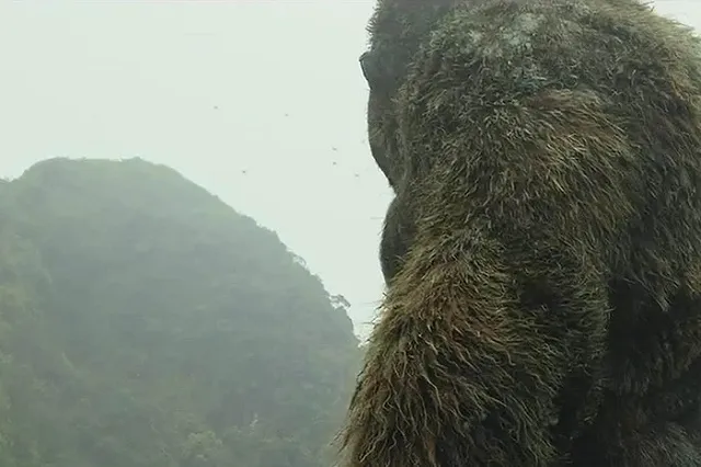 В Адыгее нашли сундук Третьего рейха с черепами неизвестных существ