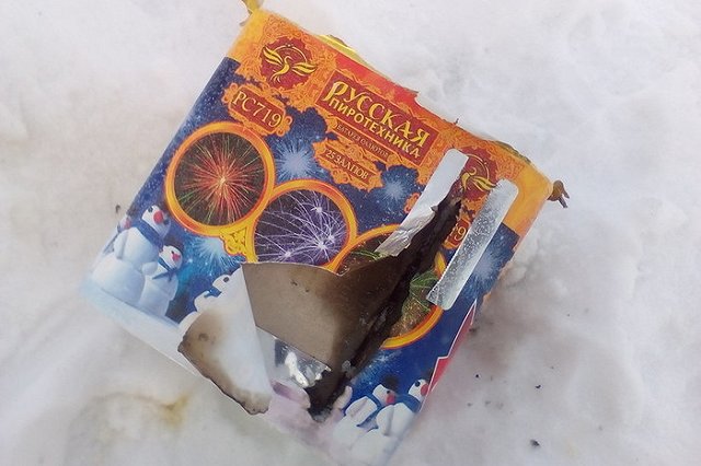 Живодеры расправились с собакой в новогоднюю ночь