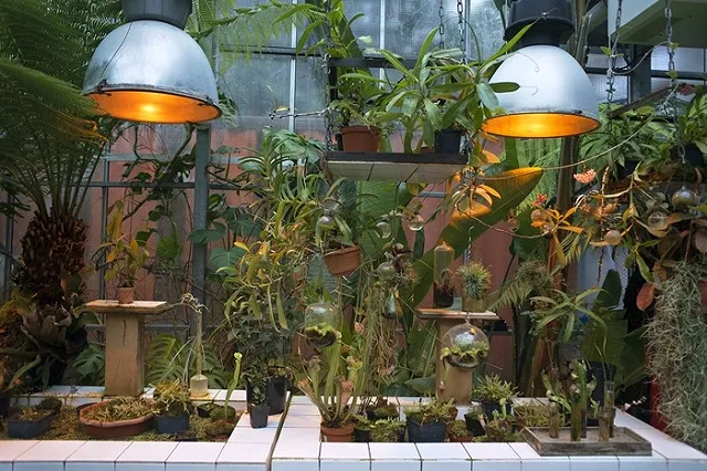 СМИ: Улюкаев отправится в VIP-колонию с зимним садом и баром