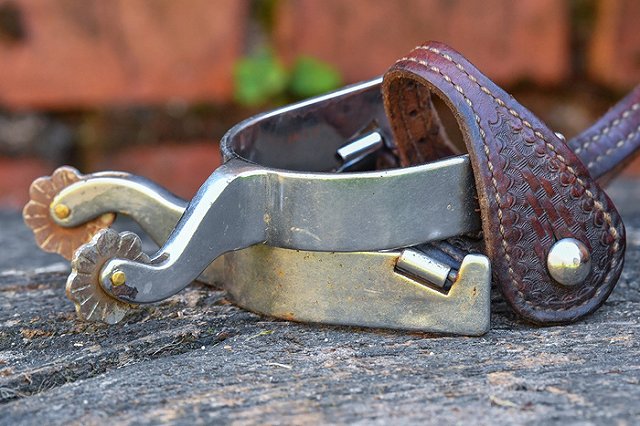 Депутат прискакал на собрание на коне и в сопровождении наездниц