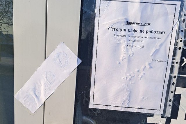 Приставы закрыли свердловское кафе с плесенью на стенах и ловушками для крыс