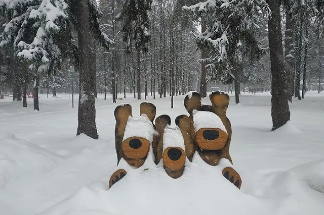 Вильфанд предупредил о приближении аномальных холодов