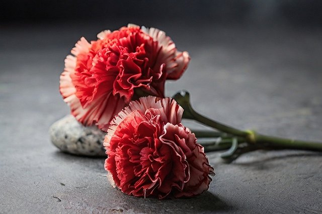 В Екатеринбурге погибший ведущий «проголосовал» за ТСЖ на собрании жильцов дома