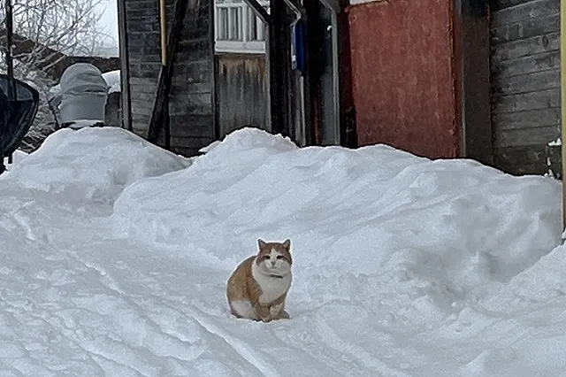 А как же Новый год? Похолодание до -30 градусов вновь надвигается на Свердловскую область