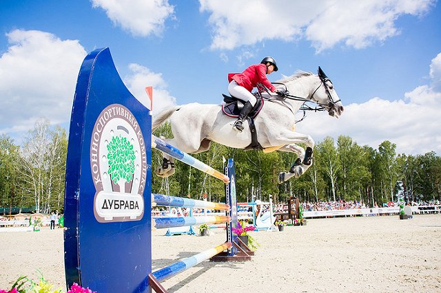 Международные соревнования по конкуру пройдут завтра в «Дубраве»