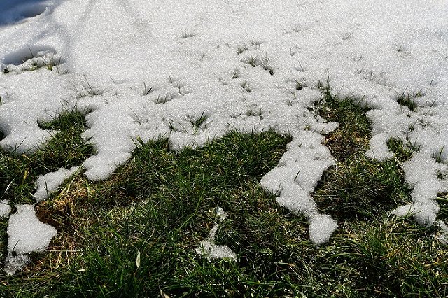 Гидрометцентр: «Прошедший год стал самым тёплым для страны за последние 100 лет»