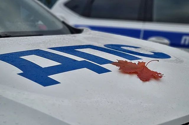 Штраф за езду без ОСАГО. Когда начнут штрафовать «по камерам» и сколько раз в день