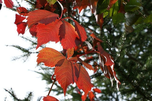 Минобороны опять срывает старт отопительного сезона в Екатеринбурге