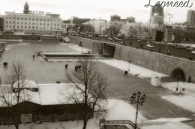 К увольнению директора колледжа имени Ползунова «причастна» реклама на крыше