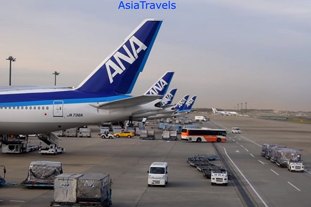 Пилот японского самолета, экстренно севшего в Новосибирске, пробудет в больнице еще неделю